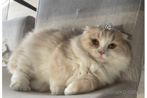 くりんちゃん1枚目